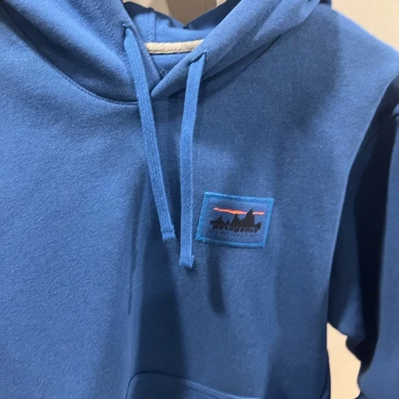 Patagonia Men's Vibrant Blue Hoodie NEW with tags W’large/M’s medium - Picture 5 of 9